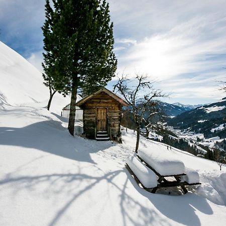 Siedlerhof Daire Hopfgarten im Brixental Dış mekan fotoğraf