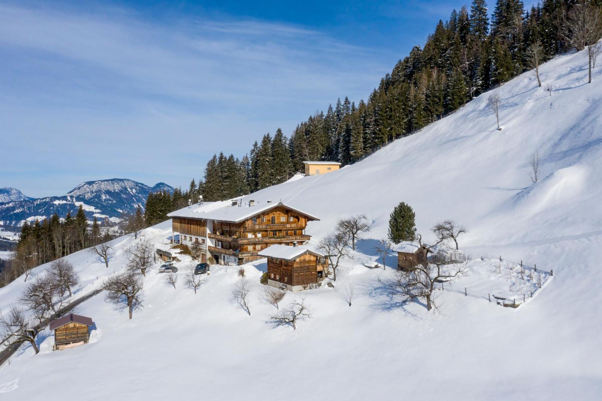 Siedlerhof Daire Hopfgarten im Brixental Dış mekan fotoğraf