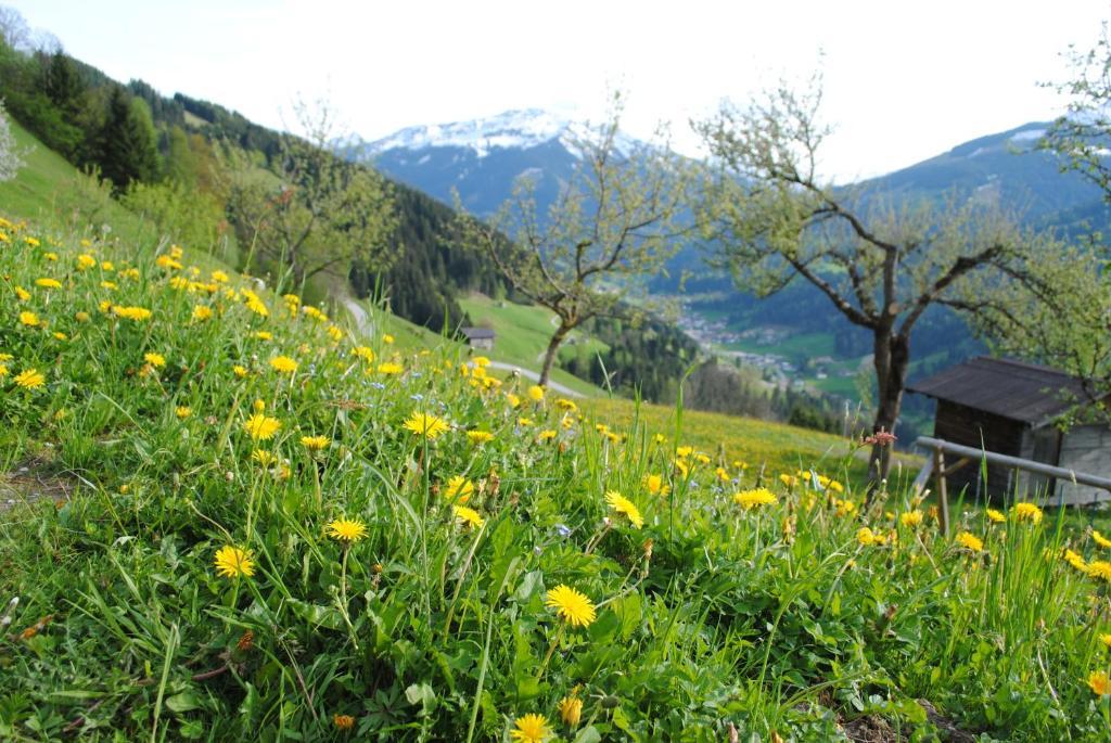 Siedlerhof Daire Hopfgarten im Brixental Dış mekan fotoğraf